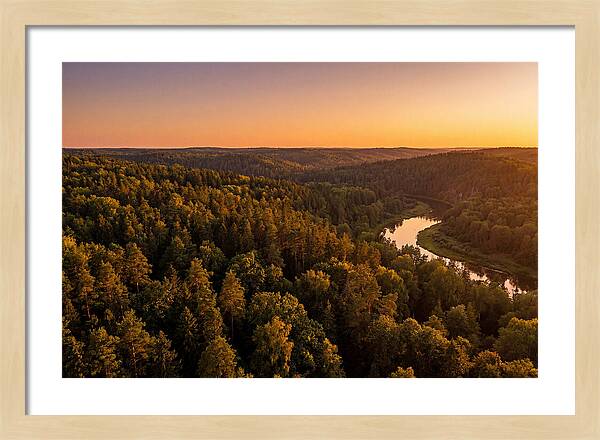 Shawnee Forest Serenity