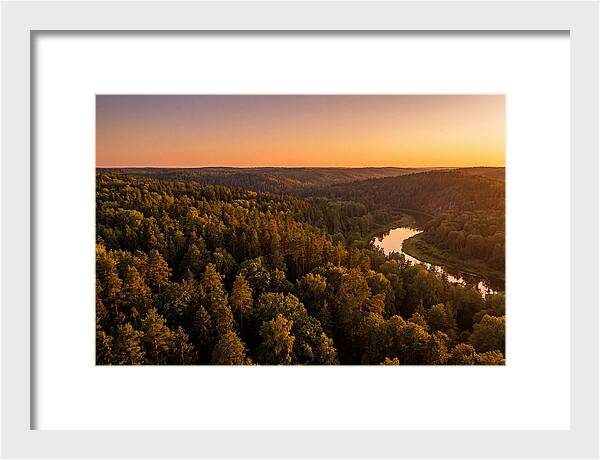 Shawnee Forest Serenity