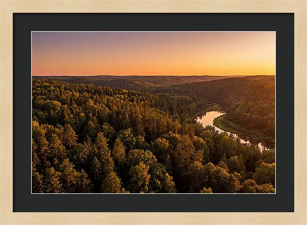 Shawnee Forest Serenity