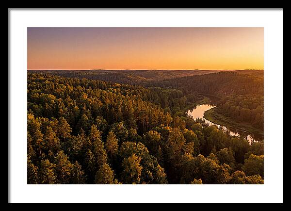 Shawnee Forest Serenity