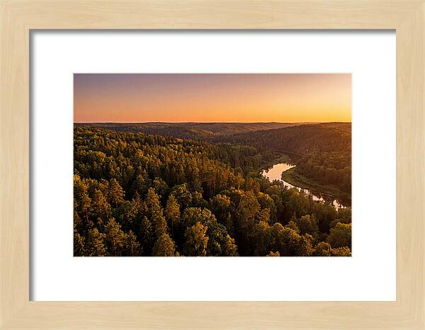 Shawnee Forest Serenity