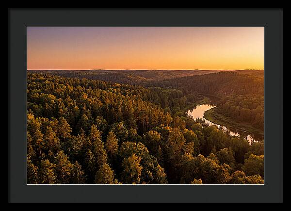 Shawnee Forest Serenity