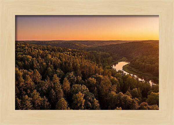 Shawnee Forest Serenity