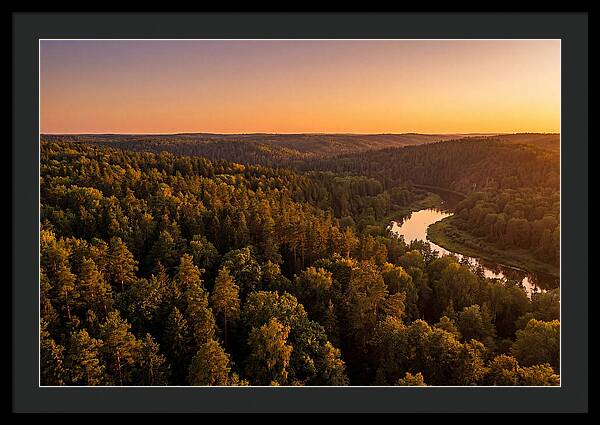 Shawnee Forest Serenity