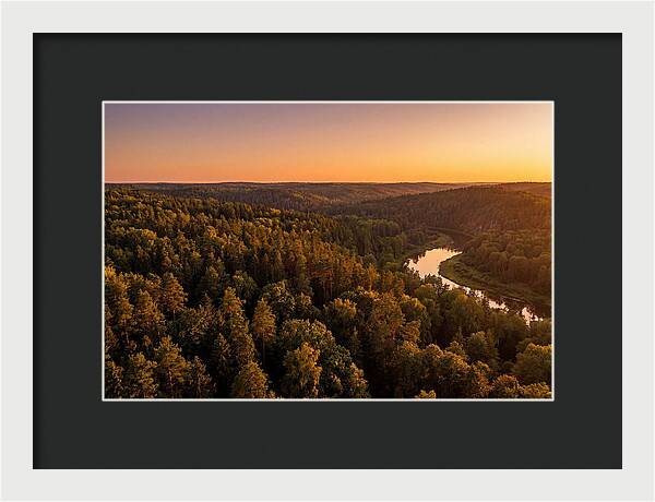 Shawnee Forest Serenity