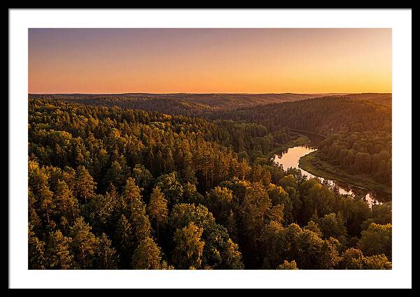 Shawnee Forest Serenity