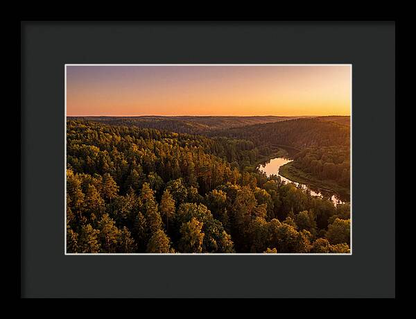 Shawnee Forest Serenity