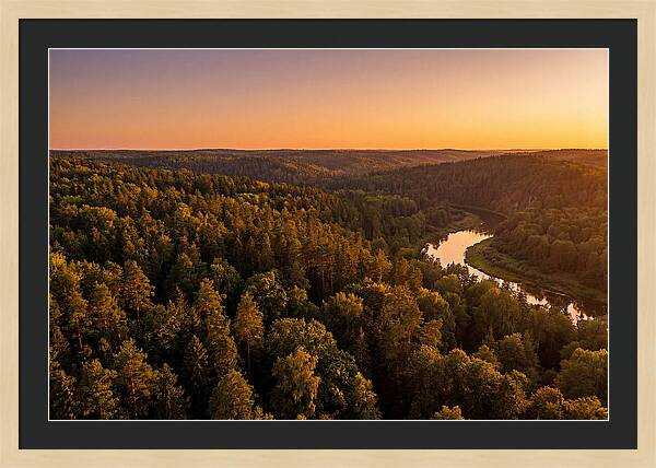 Shawnee Forest Serenity