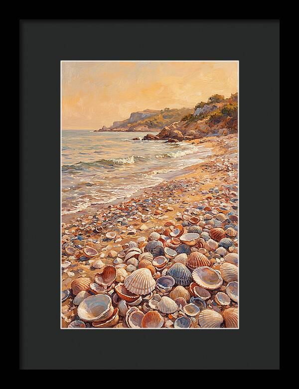 Shells Along The Mediterranean Shore