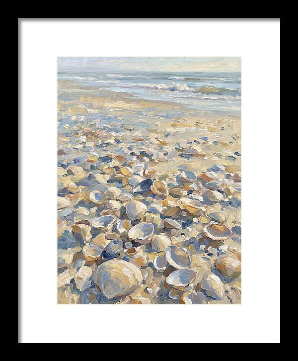 Shells Along The Shoreline