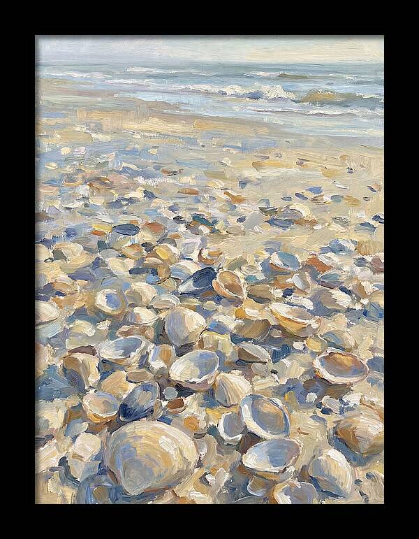 Shells Along The Shoreline