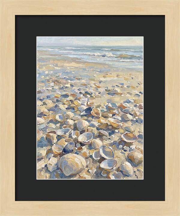 Shells Along The Shoreline