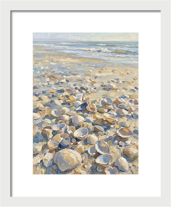 Shells Along The Shoreline
