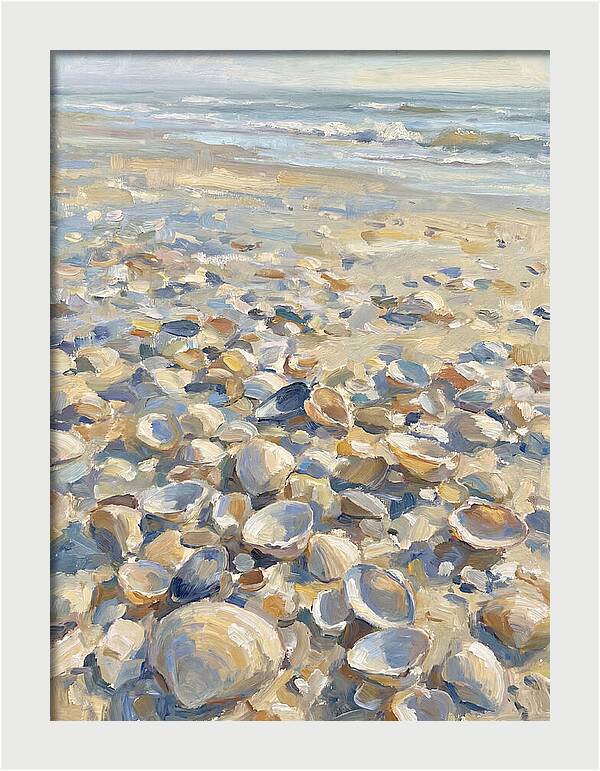 Shells Along The Shoreline