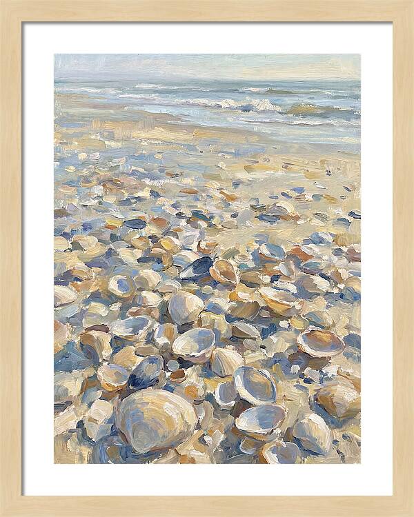 Shells Along The Shoreline