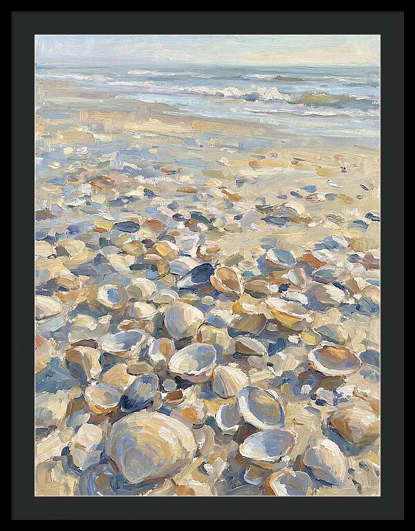 Shells Along The Shoreline