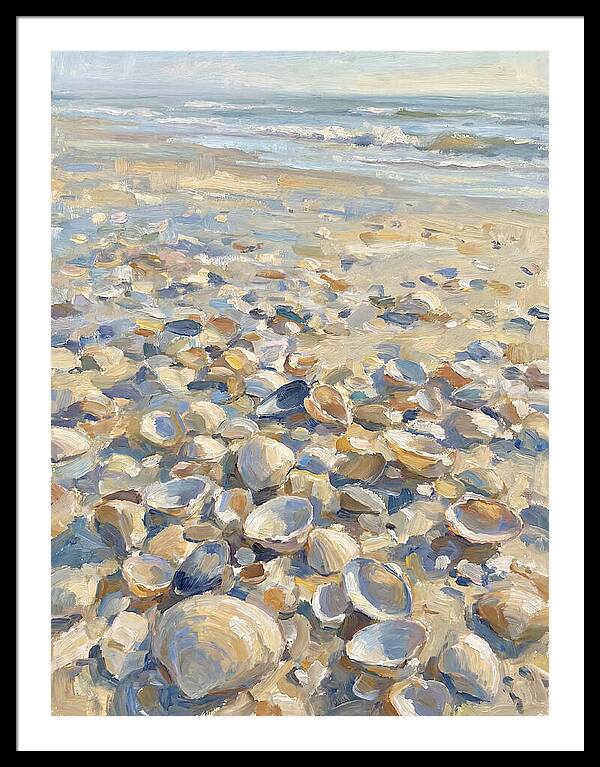 Shells Along The Shoreline