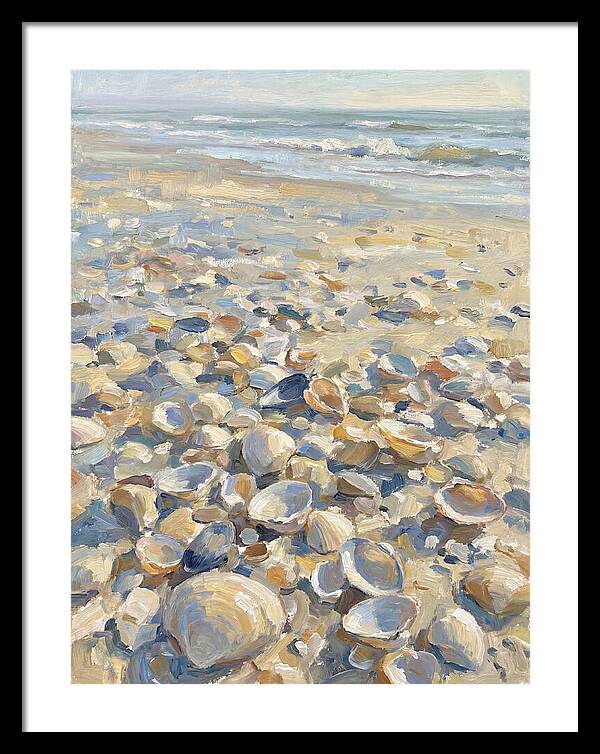 Shells Along The Shoreline