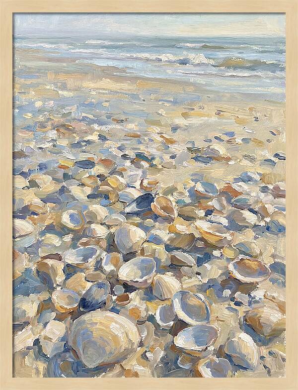 Shells Along The Shoreline
