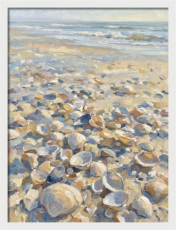 Shells Along The Shoreline