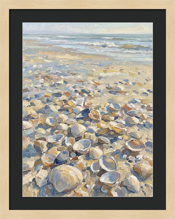 Shells Along The Shoreline