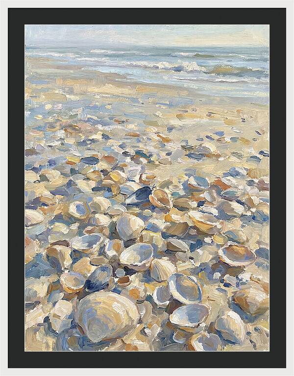 Shells Along The Shoreline