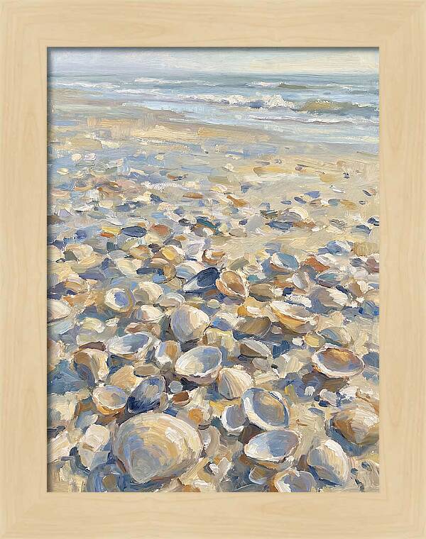 Shells Along The Shoreline