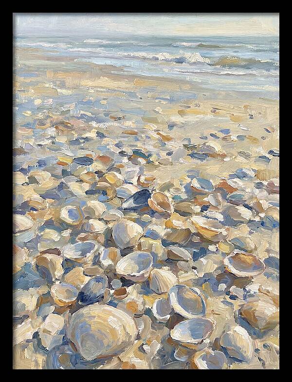 Shells Along The Shoreline