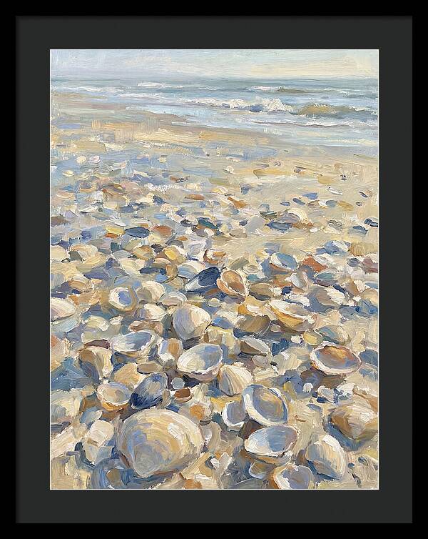 Shells Along The Shoreline