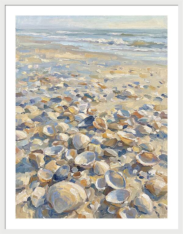 Shells Along The Shoreline