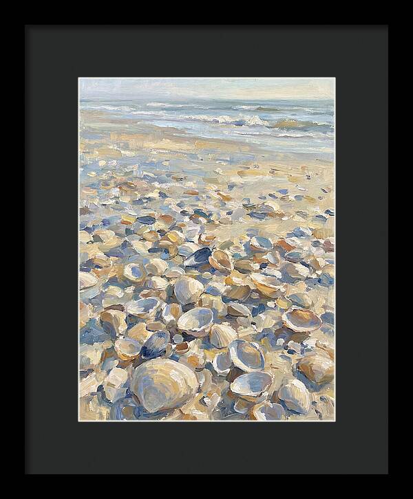 Shells Along The Shoreline