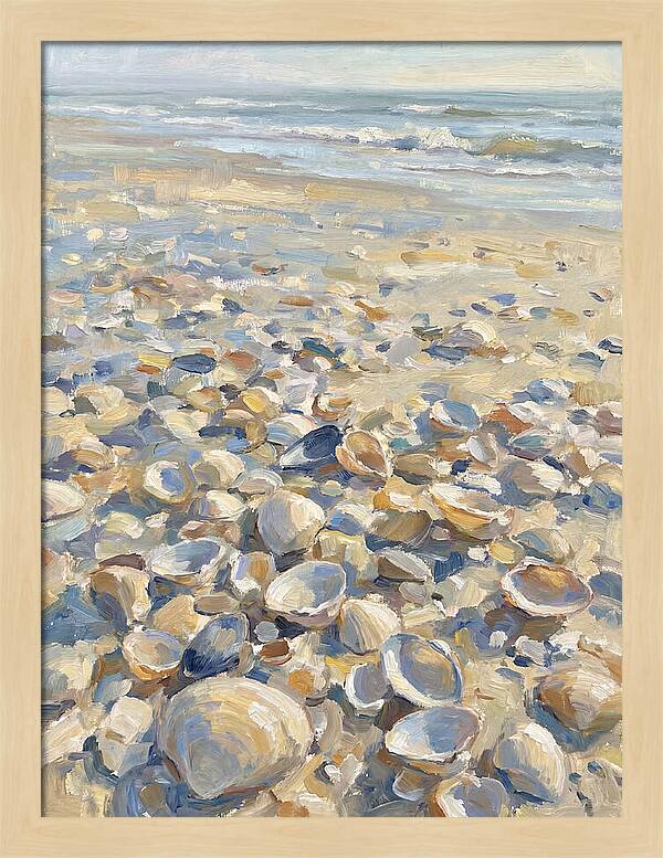 Shells Along The Shoreline