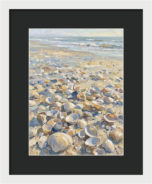 Shells Along The Shoreline