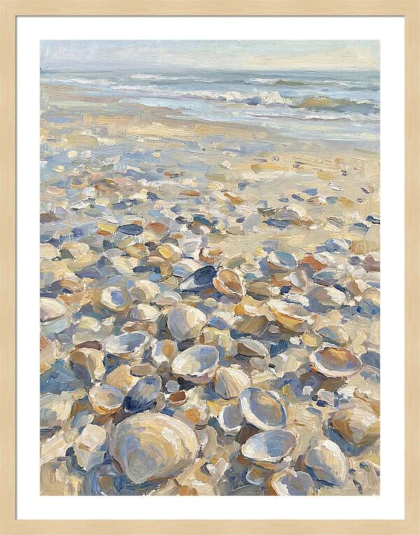 Shells Along The Shoreline
