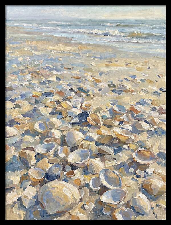 Shells Along The Shoreline