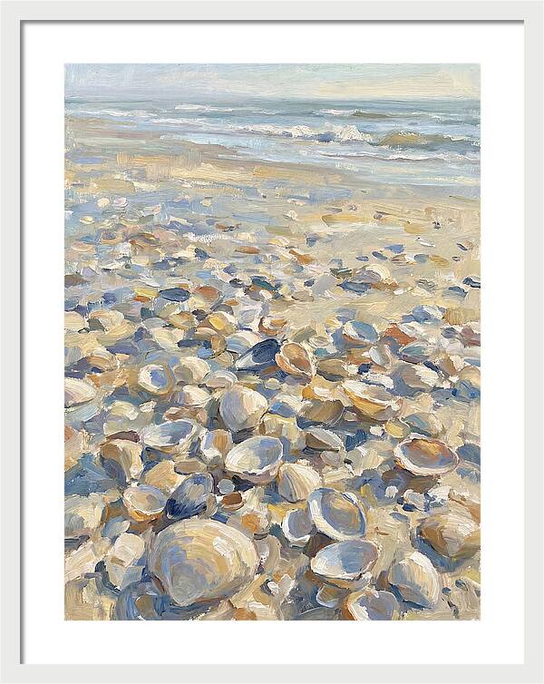 Shells Along The Shoreline