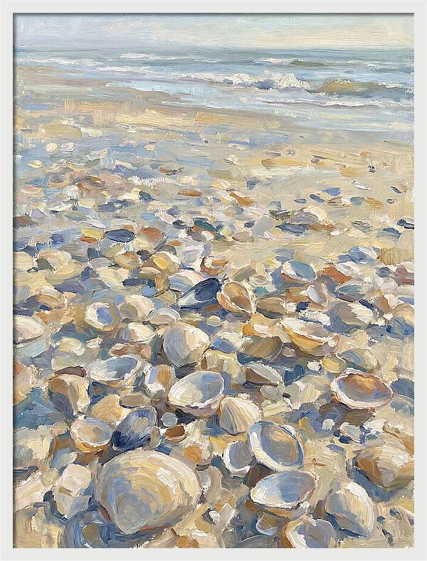 Shells Along The Shoreline