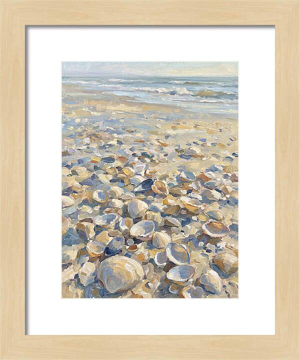 Shells Along The Shoreline