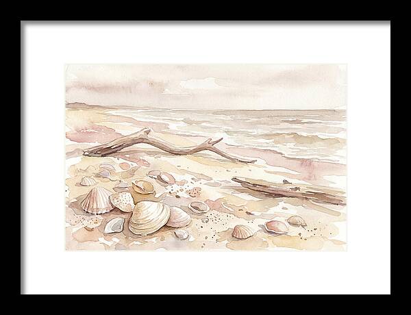 Shells Along Tranquil Shore