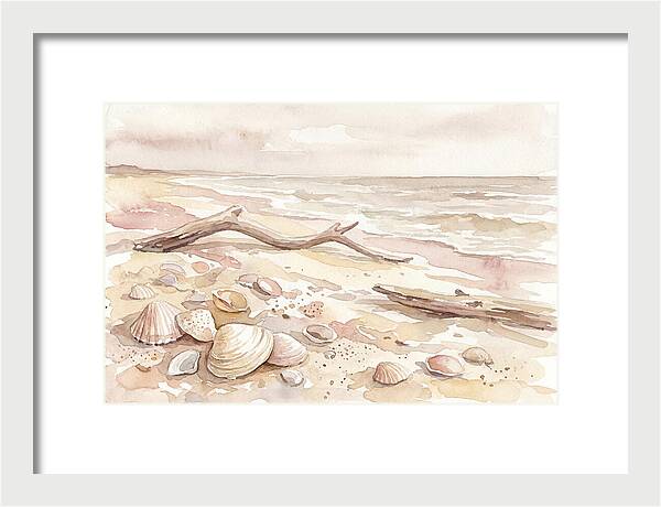 Shells Along Tranquil Shore