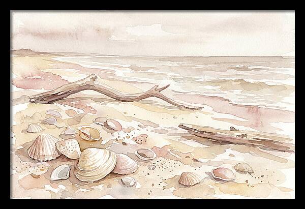 Shells Along Tranquil Shore
