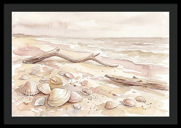 Shells Along Tranquil Shore