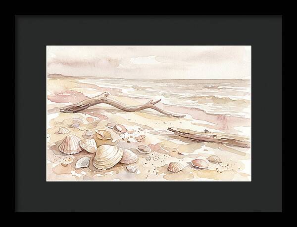Shells Along Tranquil Shore