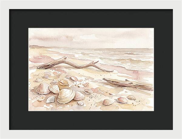 Shells Along Tranquil Shore