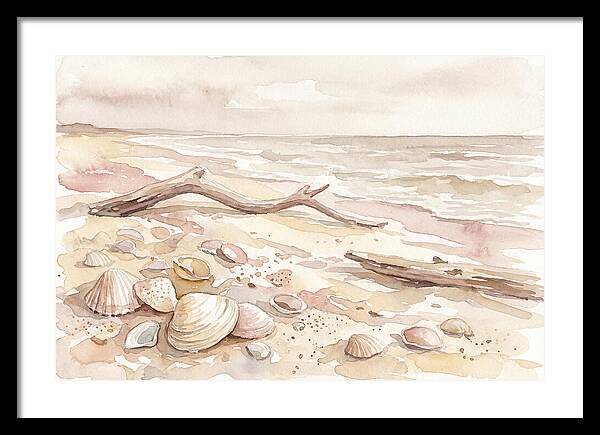 Shells Along Tranquil Shore