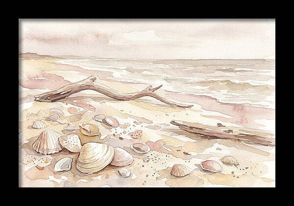 Shells Along Tranquil Shore