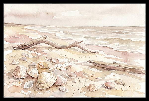 Shells Along Tranquil Shore