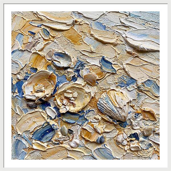 Shells On A Beach