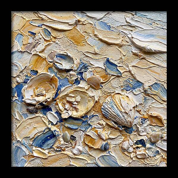 Shells On A Beach