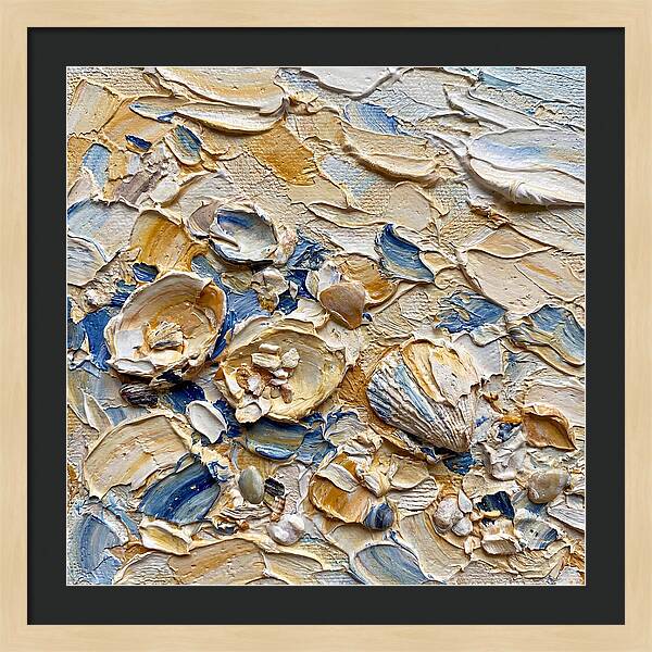 Shells On A Beach